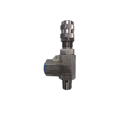 Ferrule